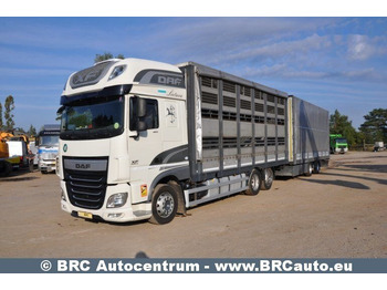 شاحنة ستارة DAF XF