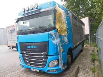 شاحنة نقل المواشي شاحنة DAF XF 106 460