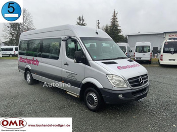 حافلة صغيرة MERCEDES-BENZ Sprinter 516