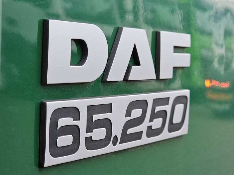 مبردة شاحنة DAF CF 65.250: صور 16