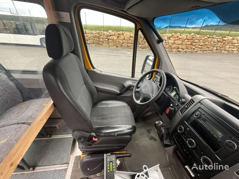 حافلة صغيرة, ميكروباص Mercedes Sprinter 516 CDI: صور 17