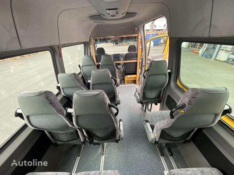 حافلة صغيرة, ميكروباص Mercedes Sprinter 516 CDI: صور 14